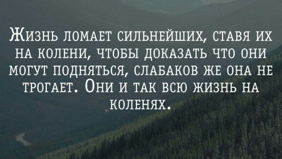 Задумалась фраза. Фразы которые заставляют задуматься о жизни. Фразы которые заставляют задуматься. Цитата которая заставляет задуматься. Высказывания которые заставляют задуматься.