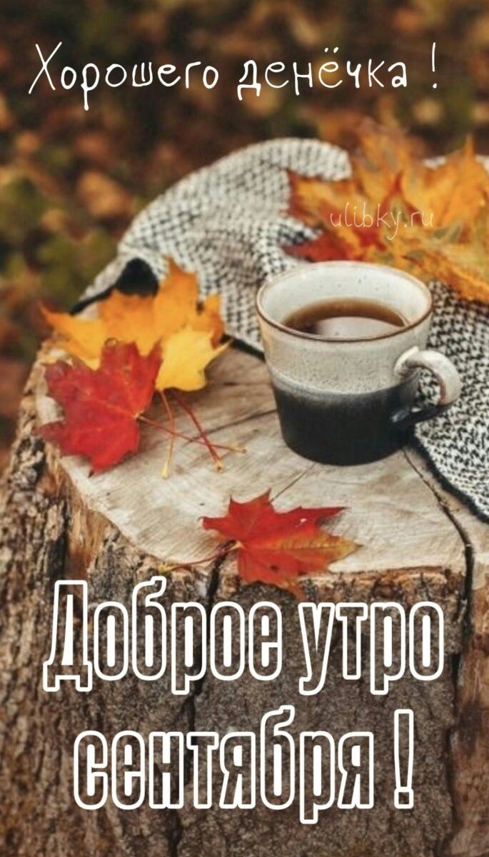 Чашечка кофе и желтые листья - открытки на утро осени (2)