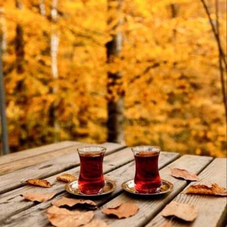 Чашечка кофе и желтые листья   открытки на утро осени (21)