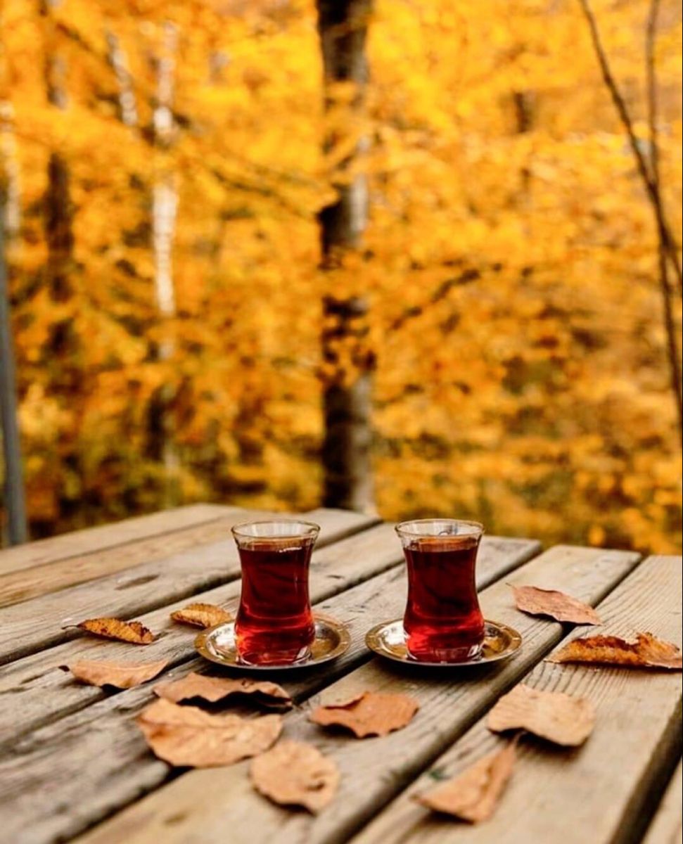 Чашечка кофе и желтые листья   открытки на утро осени (21)
