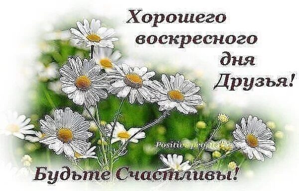 Доброго воскресного дня пожелания картинки. Отличного воскресного дня. Хорошего воскресенья и отличного дня. Замечательного воскресенья и отличного настроения. Прекрасного воскресного дня и отличного настроения.