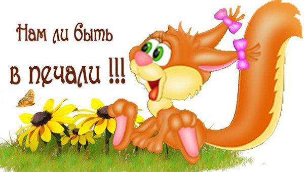 Как дела  Веселые картинки и открытки с этим вечным вопросом 5