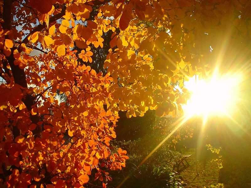 Солнечного осеннего утра и хорошего дня на октябрь 18