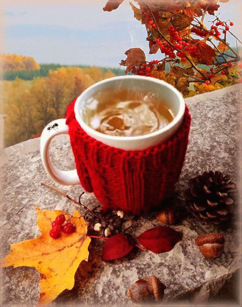 Красивое осеннее утро гиф. Доброе осеннее утро. С добрым осенним утром. Осенний кофе. С красивым осенним утром.