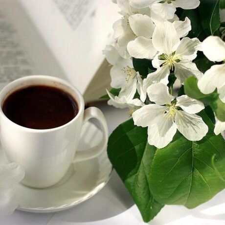 Красивые цветы, чашечка кофе, весна   приятные картинки  8
