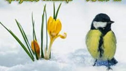 Весна, доброе утро — красивая открытка 24