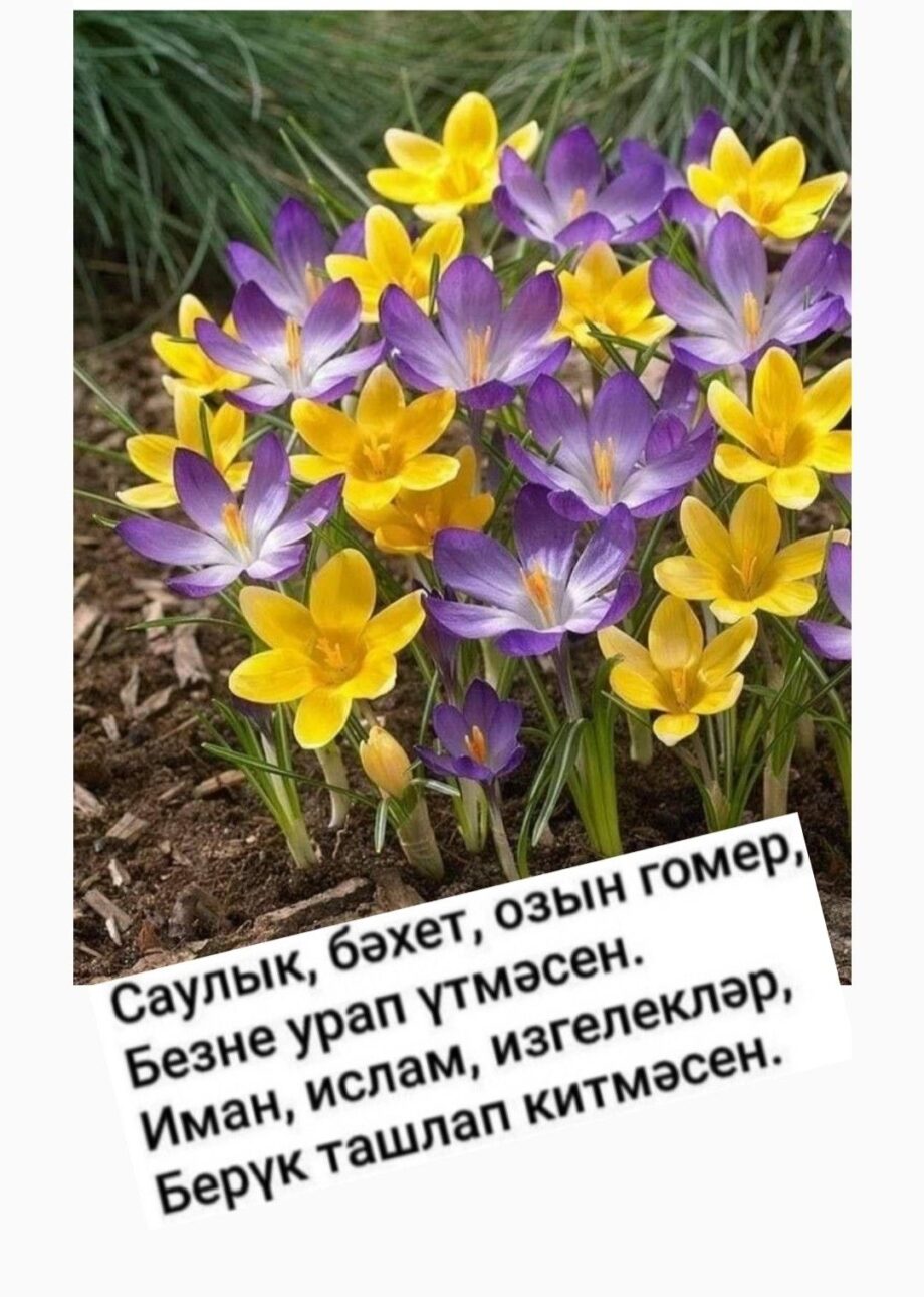 День рождения мужчине открытка на татарском языке (9)