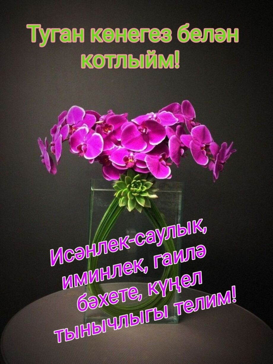 Открытка день рождения женщине татарском языке (3)